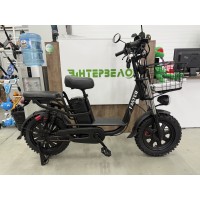 Электровелосипед 16" Faster RLSD151 (48V13.5A) Электровелосипед 16" Faster RLSD151 (48V13.5A)