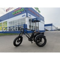 Электровелосипед 20" Faster RLSD090 (240W) трехколесный